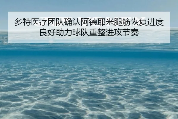 多特医疗团队确认阿德耶米腿筋恢复进度良好助力球队重整进攻节奏